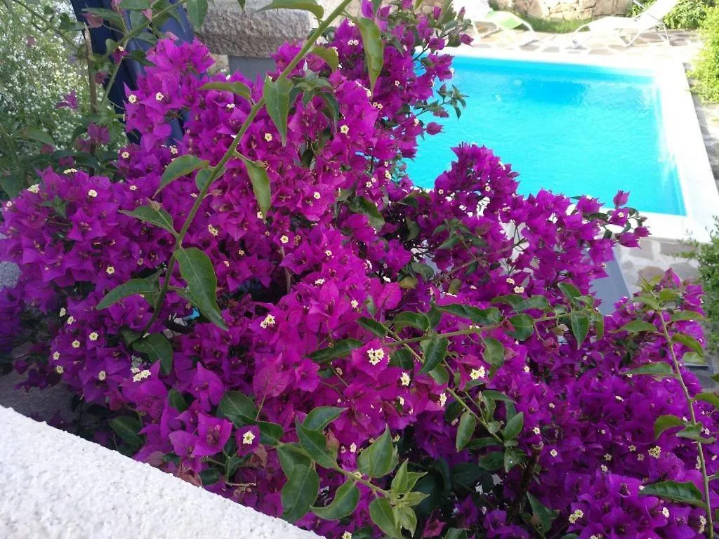 Casa Zeralda, Privater Pool Apartment Budoni